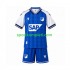 Djeca Domaći Nogometni Dres Hoffenheim 2026-2027 Kratki Rukavi