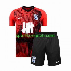 Birmingham City Djeca Gostujući Nogometni Dres 2023-2024 Kratki Rukavi