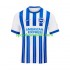 Brighton Hove Albion Muškarci Domaći Nogometni Dres 2024-2025 Kratki Rukavi