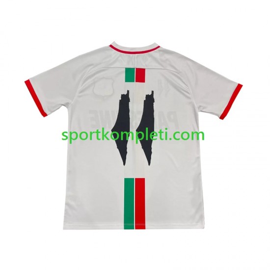 Club Deportivo Palestino Muškarci Gostujući Nogometni Dres Center Stripre 2024-2025 Kratki Rukavi