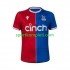 Crystal Palace Muškarci Domaći Nogometni Dres 2023-2024 Kratki Rukavi