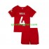 Liverpool Djeca Domaći Nogometni Dres Virgil van Dijk 4 2023-2024 Kratki Rukavi