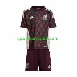 Meksiko Djeca Domaći Nogometni Dres Copa America 2024 Kratki Rukavi
