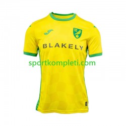 Norwich City Muškarci Domaći Nogometni Dres 2024-2025 Kratki Rukavi