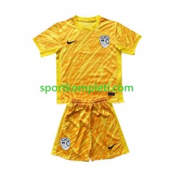 Slovenija Vratar Žuta boja Djeca Domaći Nogometni Dres Euro 2024 Kratki Rukavi