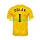 Slovenija Vratar Žuta boja Muškarci Domaći Nogometni Dres Jan Oblak 1 Euro 2024 Kratki Rukavi