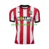 Southampton Muškarci Domaći Nogometni Dres 2024-2025 Kratki Rukavi