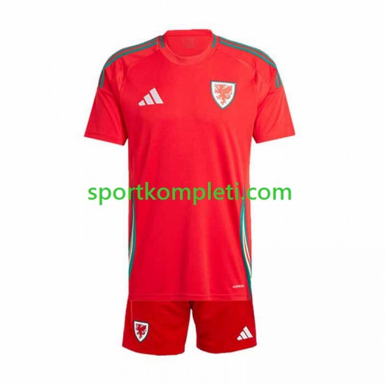 Wales Djeca Domaći Nogometni Dres 2024 Kratki Rukavi