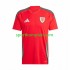 Wales Muškarci Domaći Nogometni Dres 2024 Kratki Rukavi