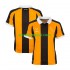 Hull City Muškarci Domaći Nogometni Dres 2026-2027 Kratki Rukavi