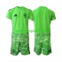 Španjolska Vratar Djeca Nogometni Dres 6th Green color World Cup 2026 Kratki Rukavi